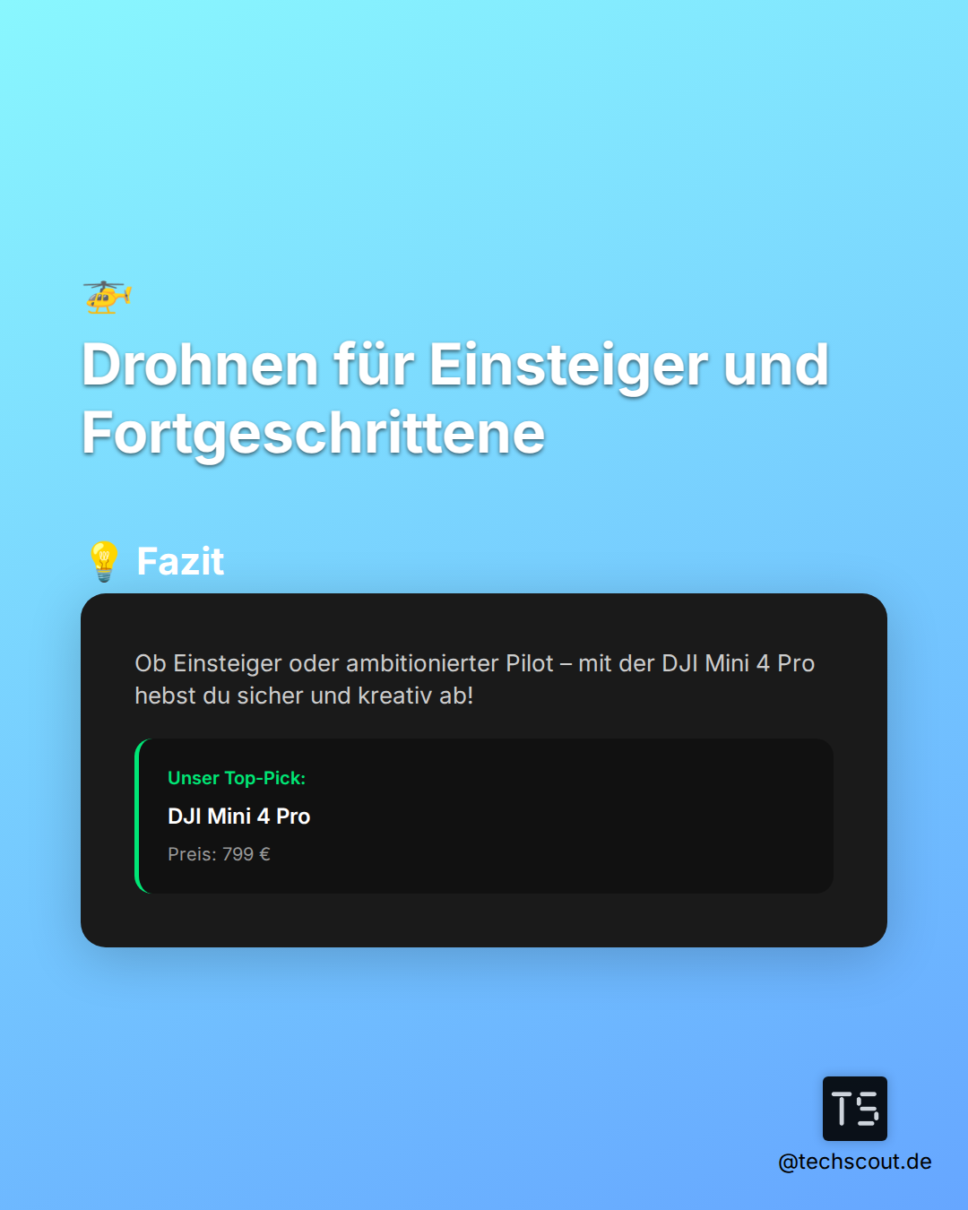 Slide 7